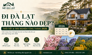 MÊ ĐÀ LẠT