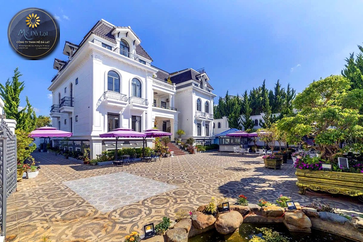 Kinh nghiệm thuê villa Đà Lạt nguyên căn cho gia đình nhóm bạn công ty