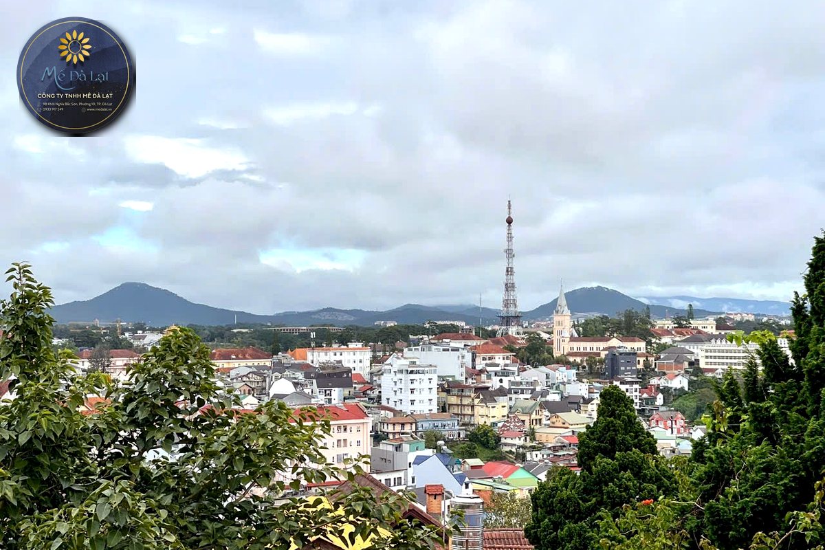 View Đà Lạt từ villa phù hợp nghỉ dưỡng và di chuyển