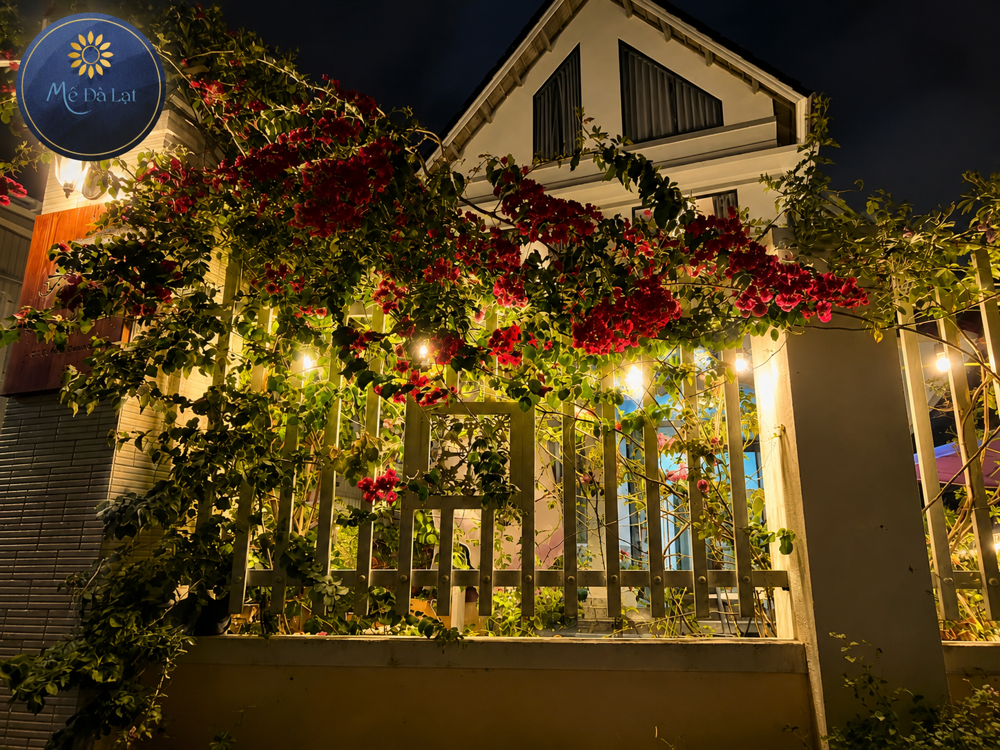 Villa Tô Hiến Thành Đà Lạt về đêm với sân vườn ấm cúng